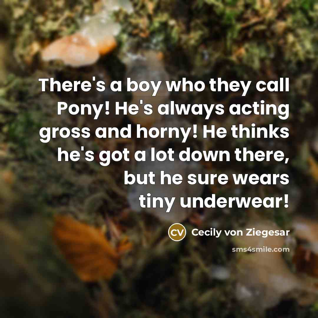 “There's a boy who they call Pony! He's always acting…” quote by Cecily von Ziegesar