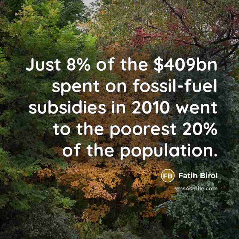 “Just 8% of the $409bn spent on fossil-fuel subsidies in…” quote by Fatih Birol