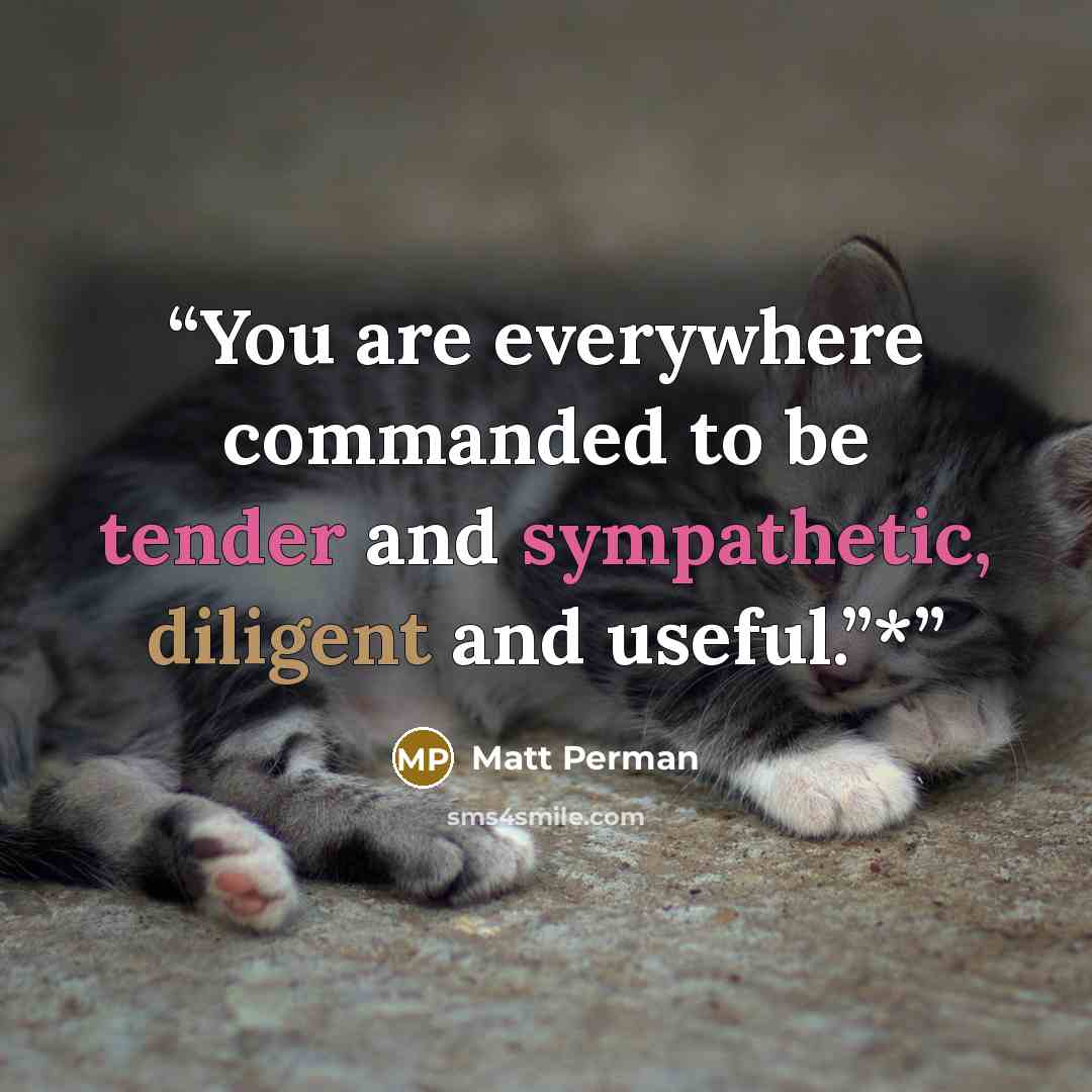 “You are everywhere commanded to be tender and sympathetic, diligent and useful.”*” quote by Matt Perman
