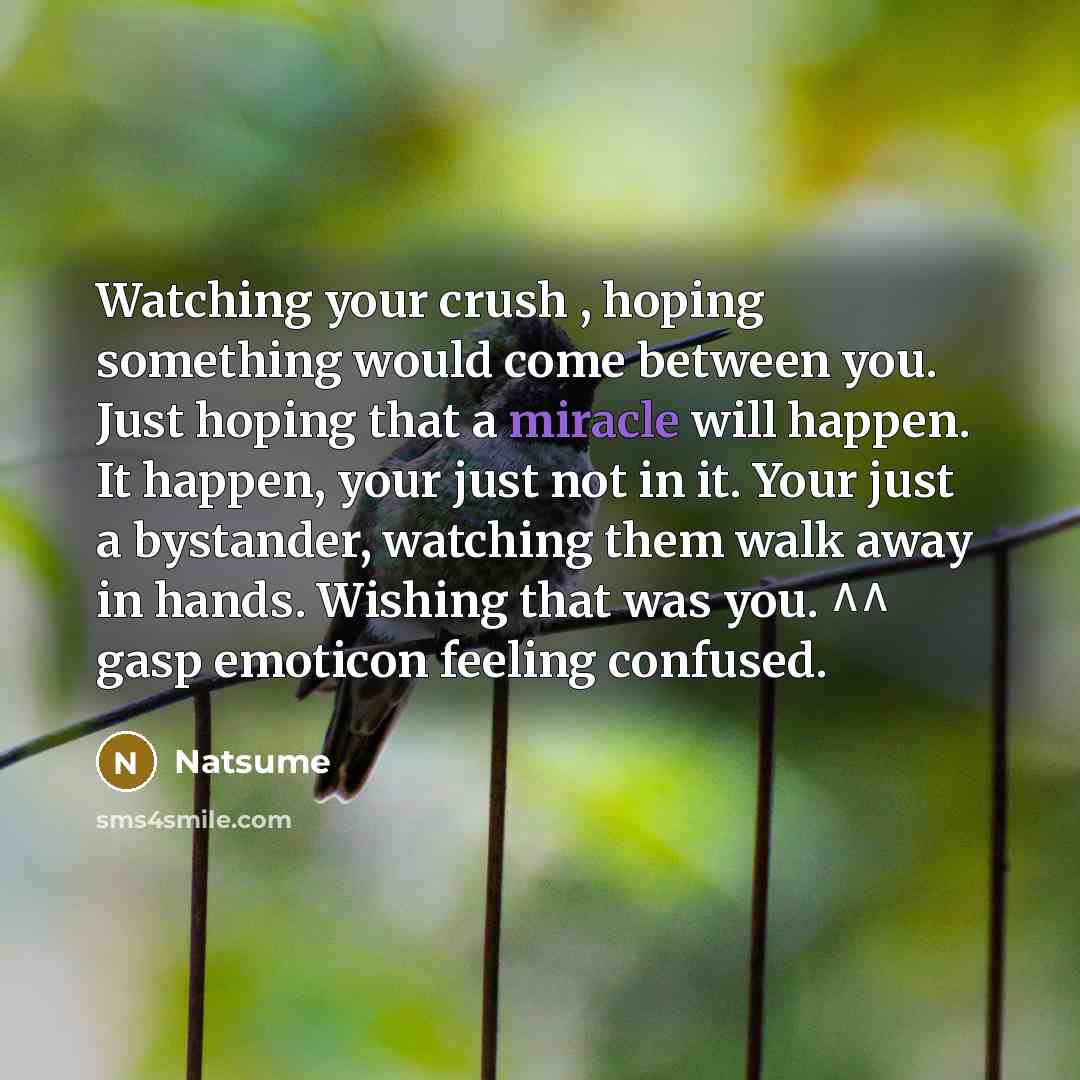 “Watching your crush , hoping something would come between you. Just hoping that a miracle will happen. It happen, your just not in it. Your just a bystander, watching them walk away in hands. Wishing that was you. ^^ gasp emoticon feeling confused.” quote by Natsume