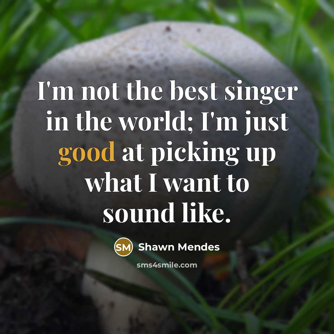 “I'm not the best singer in the world; I'm just…” quote by Shawn Mendes