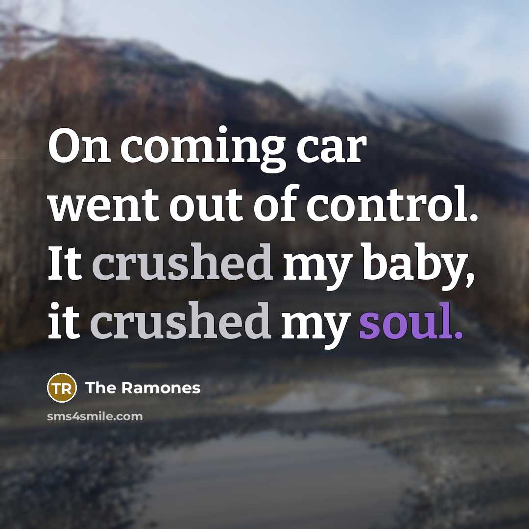 “On coming car went out of control. It crushed my baby, it crushed my soul.” quote by The Ramones