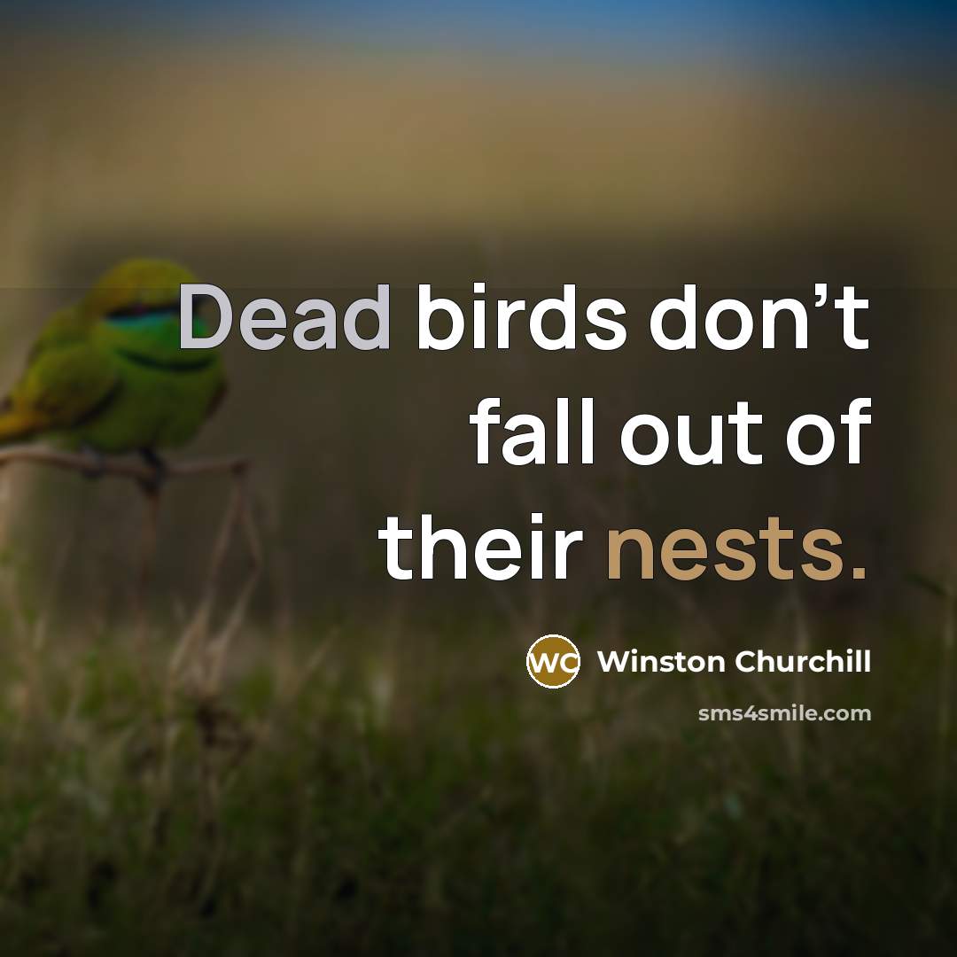 “Dead birds don't fall out of their nests.…” quote by Winston Churchill