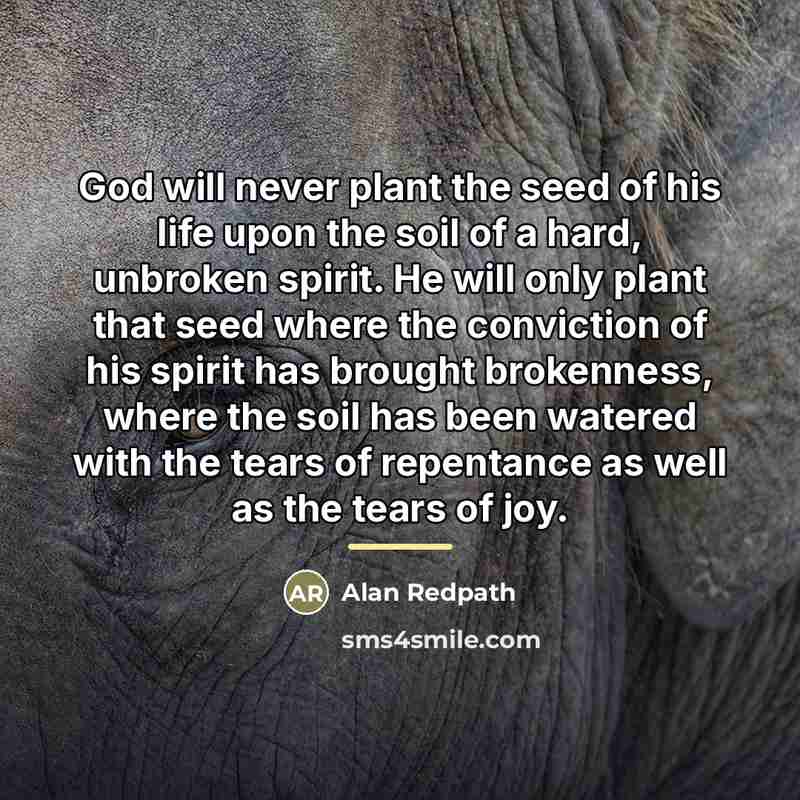 “God will never plant the seed of his life upon…” quote by Alan Redpath