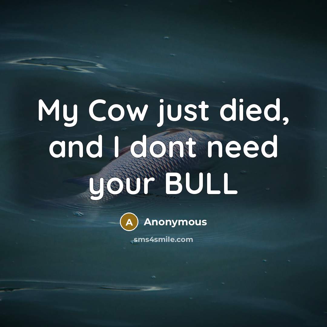 “My Cow just died, and I dont need your BULL…” quote by Anonymous