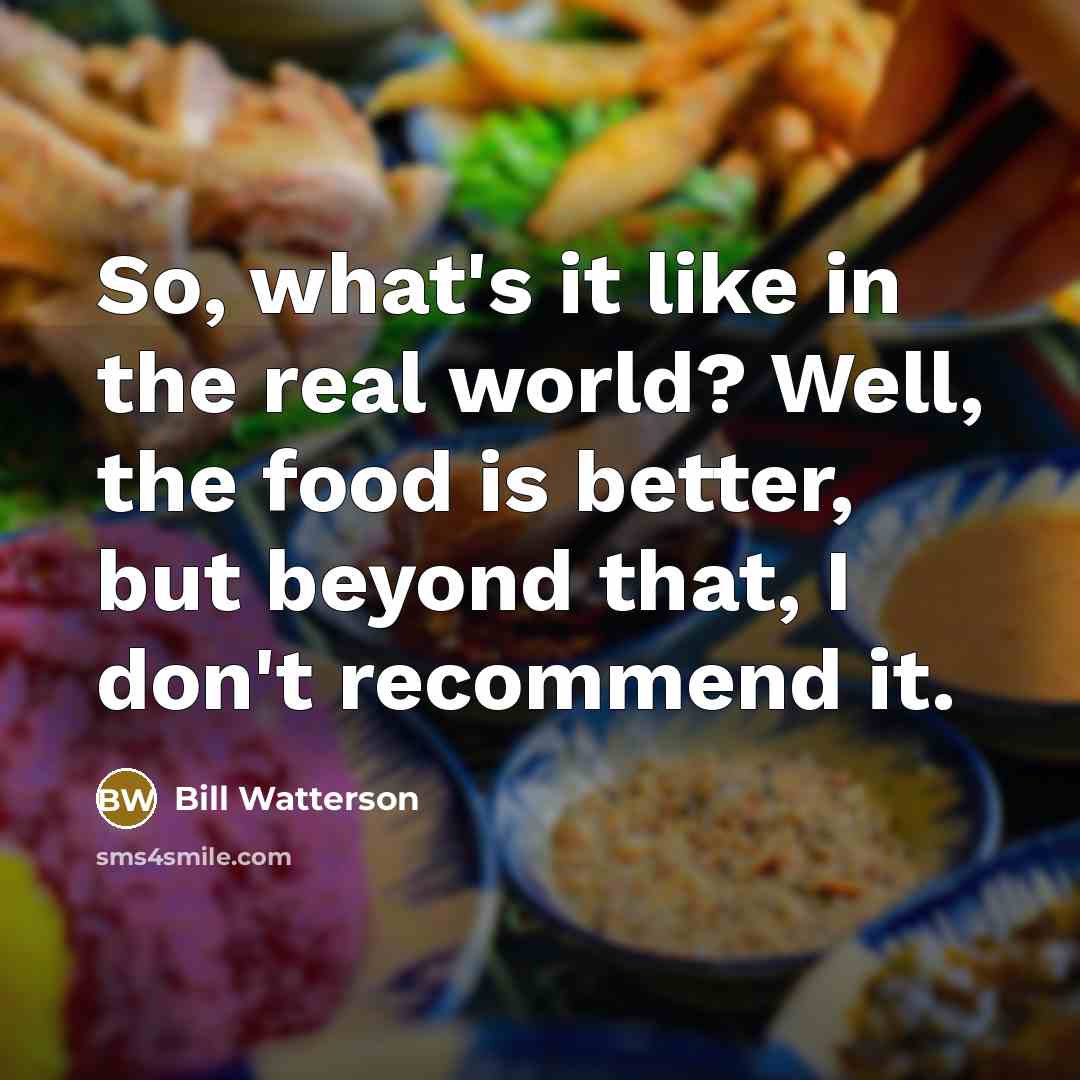 “So, what's it like in the real world? Well, the…” quote by Bill Watterson