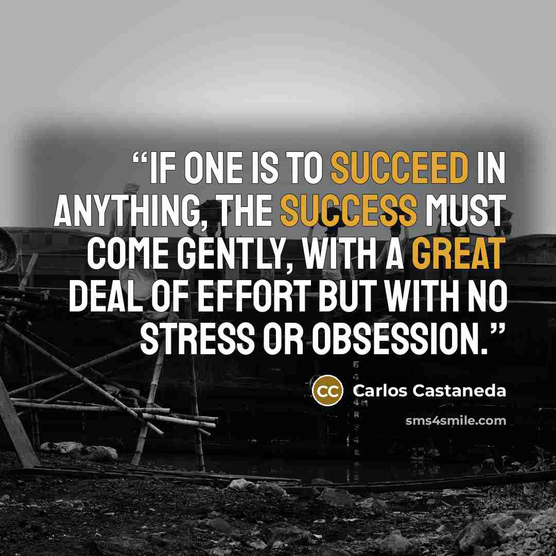 “If one is to succeed in anything, the success must come gently, with a great deal of effort but with no stress or obsession.” quote by Carlos Castaneda