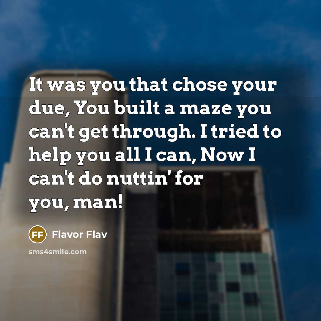 “It was you that chose your due, You built a…” quote by Flavor Flav