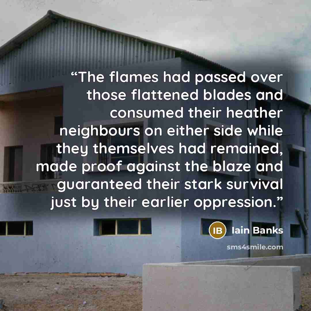 “The flames had passed over those flattened blades and consumed their heather neighbours on either side while they themselves had remained, made proof against the blaze and guaranteed their stark survival just by their earlier oppression.” quote by Iain Banks