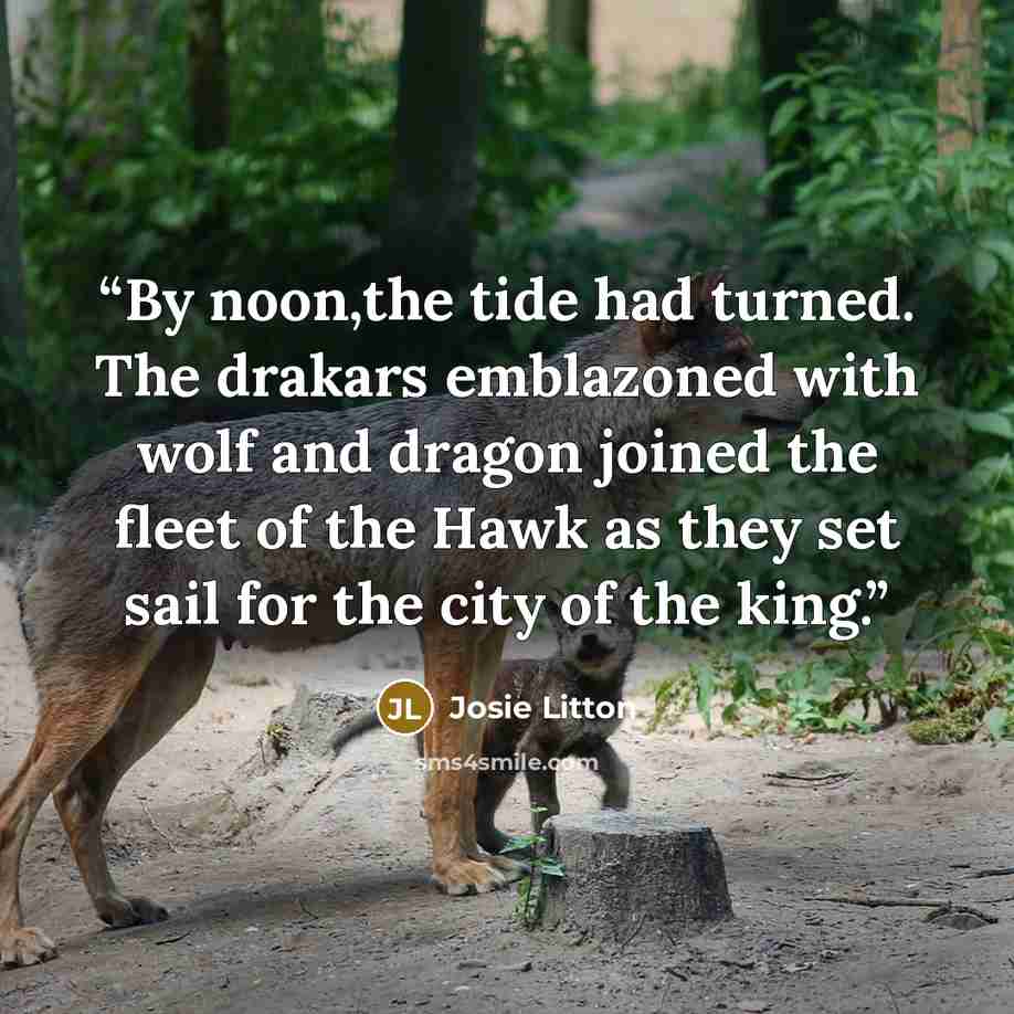 “By noon,the tide had turned. The drakars emblazoned with wolf and dragon joined the fleet of the Hawk as they set sail for the city of the king.” quote by Josie Litton