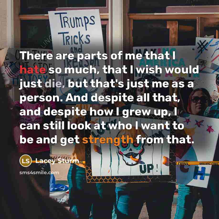 “There are parts of me that I hate so much,…” quote by Lacey Sturm