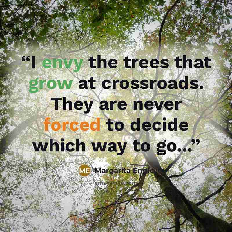 “I envy the trees that grow at crossroads. They are never forced to decide which way to go...” quote by Margarita Engle