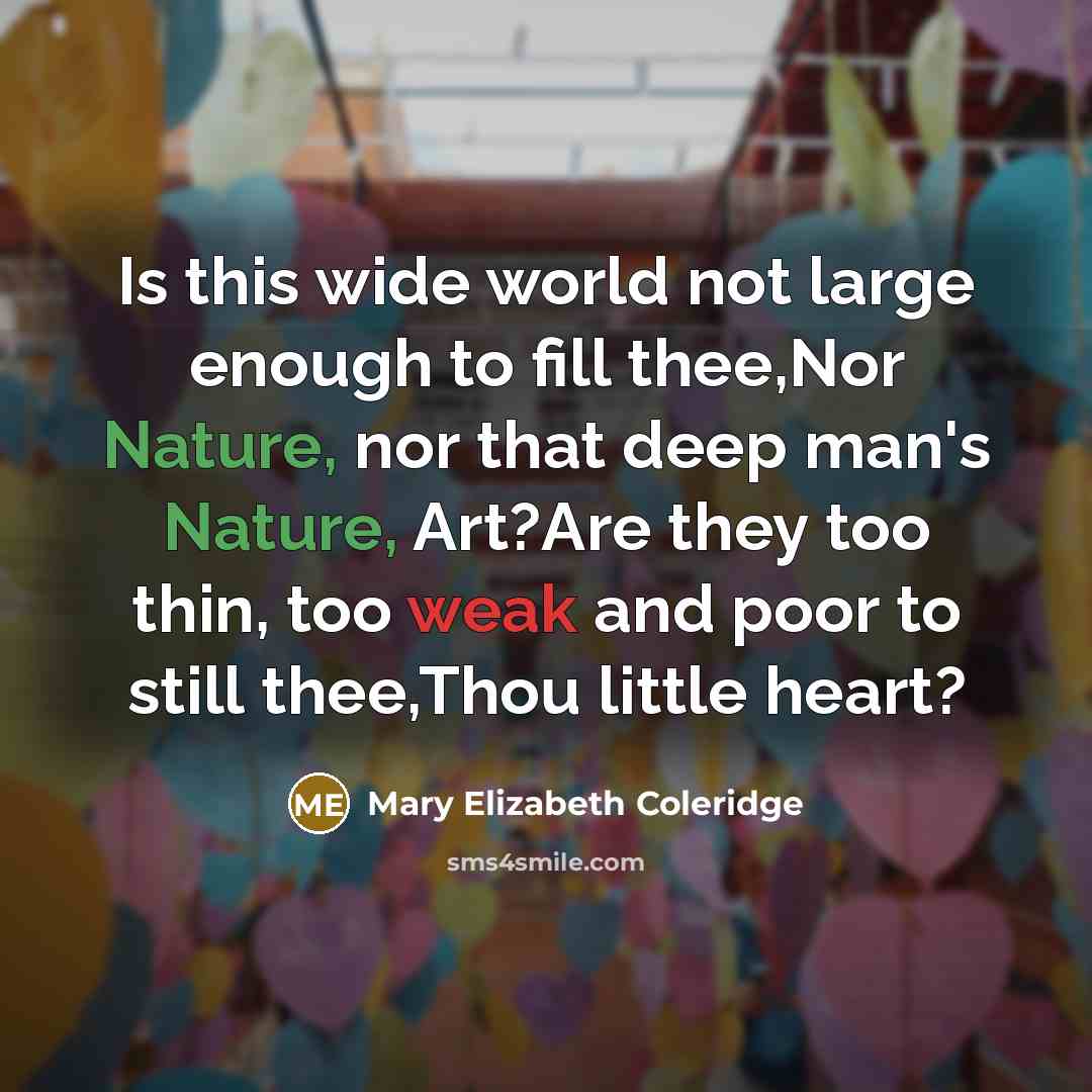 “Is this wide world not large enough to fill thee,Nor…” quote by Mary Elizabeth Coleridge