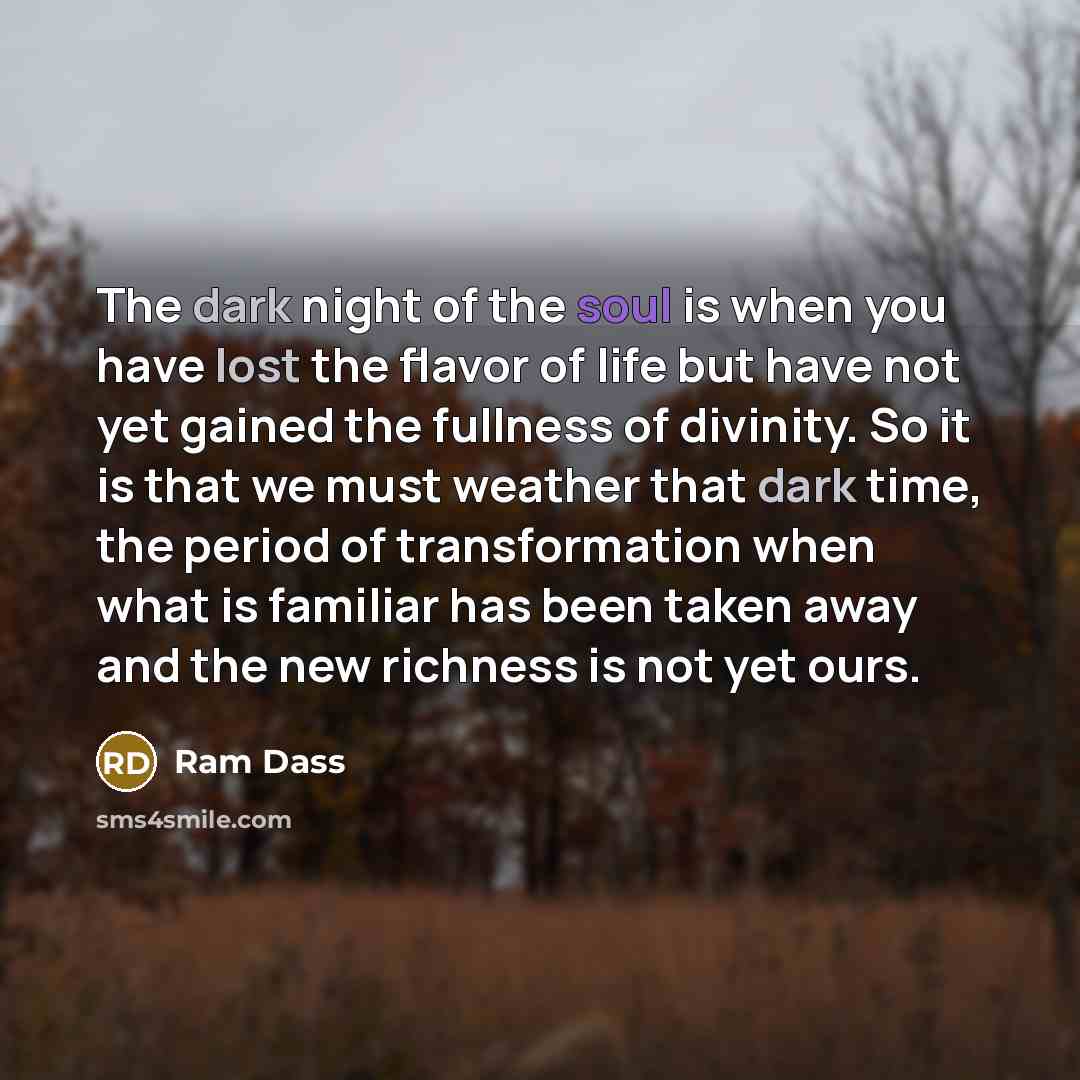 “The dark night of the soul is when you have…” quote by Ram Dass