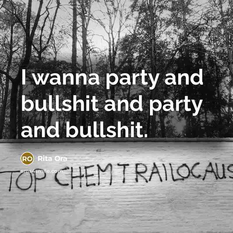 “I wanna party and bullshit and party and bullshit.” quote by Rita Ora