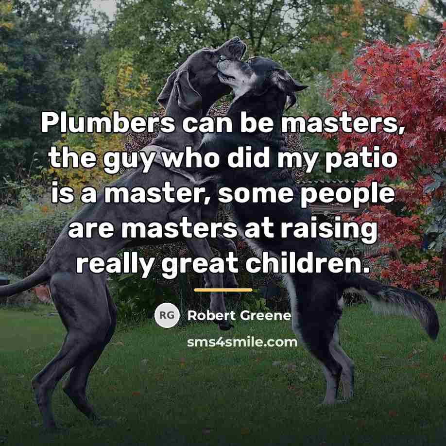 “Plumbers can be masters, the guy who did my patio…” quote by Robert Greene