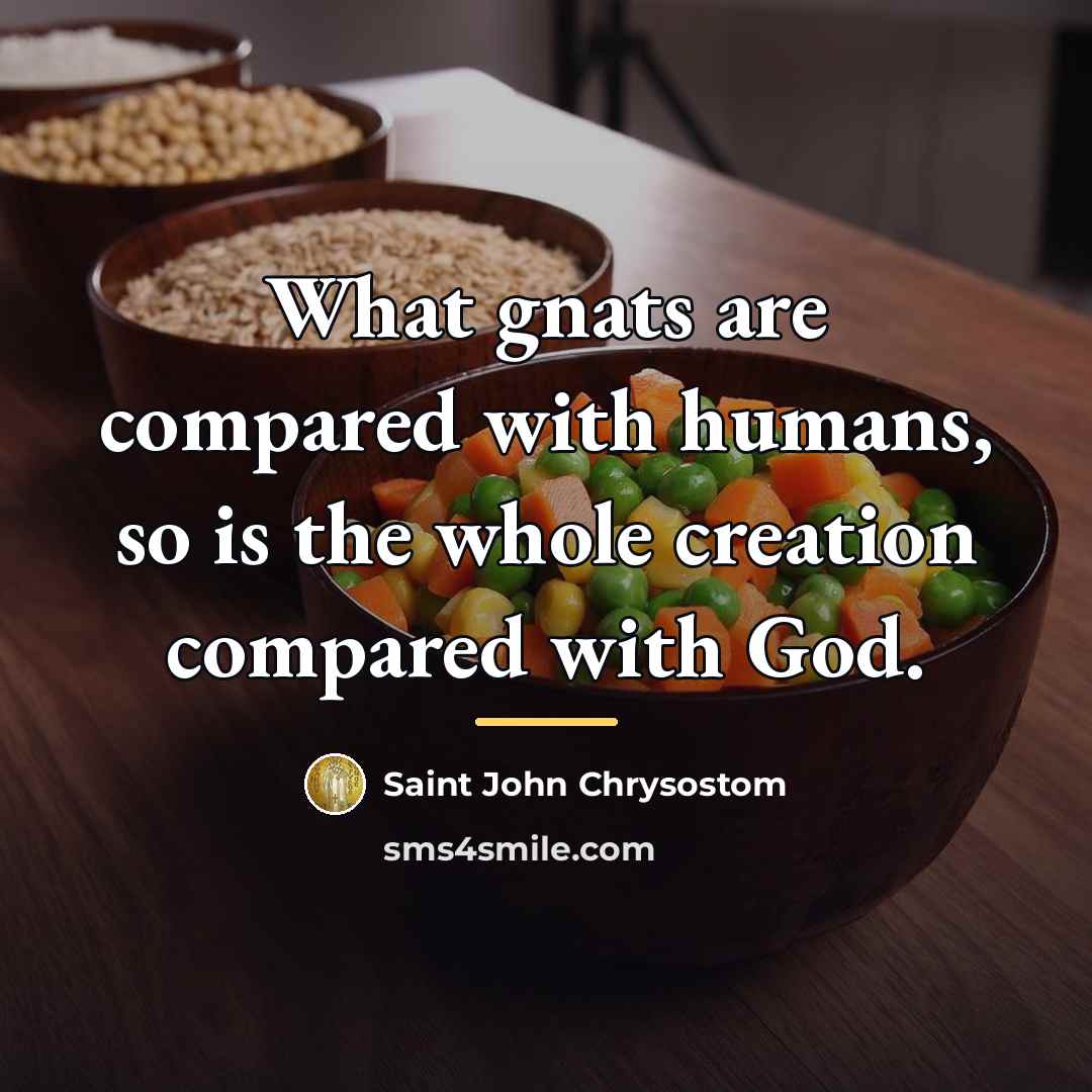 “What gnats are compared with humans, so is the whole…” quote by Saint John Chrysostom
