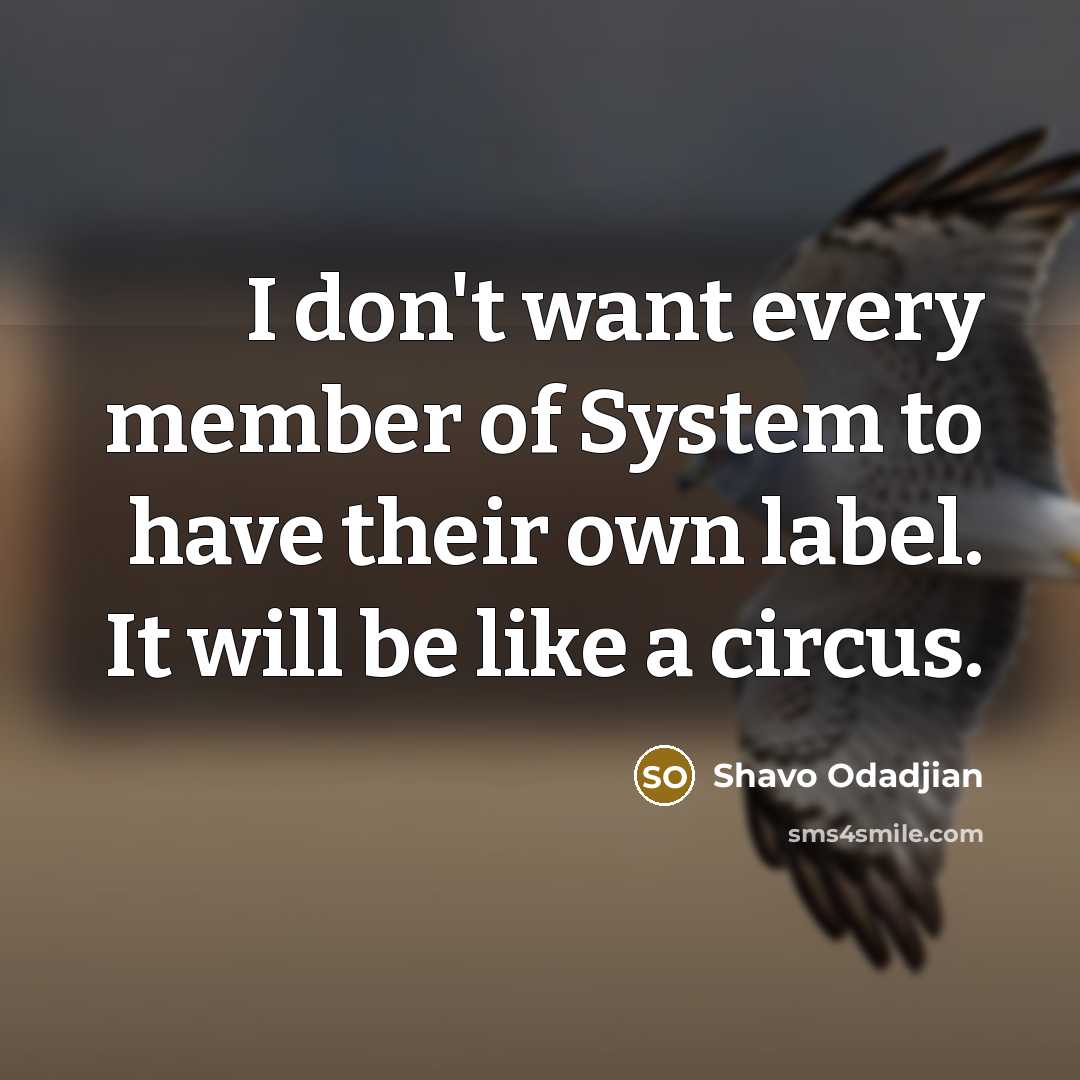 “I don't want every member of System to have their…” quote by Shavo Odadjian