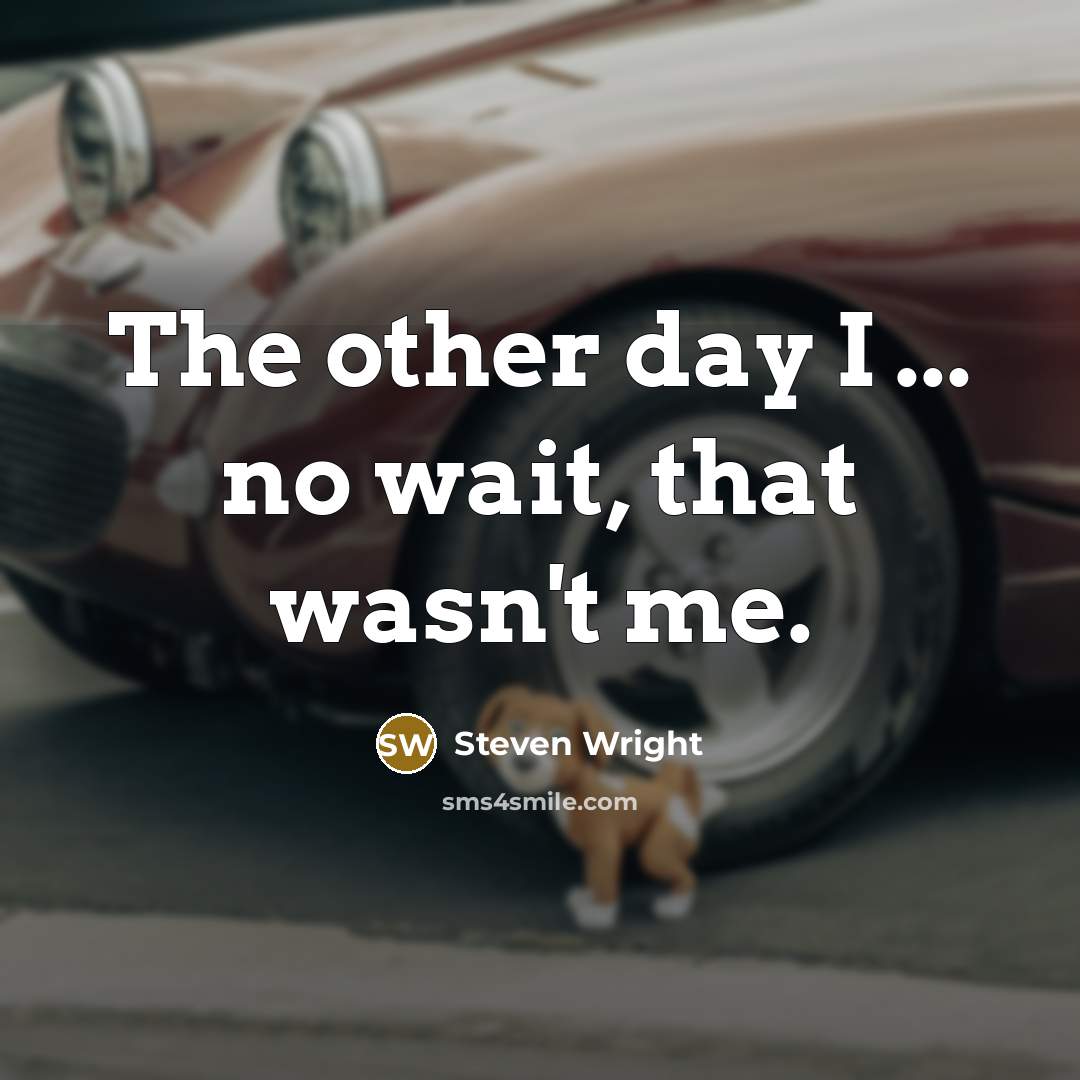 “The other day I ... no wait, that wasn't me.…” quote by Steven Wright