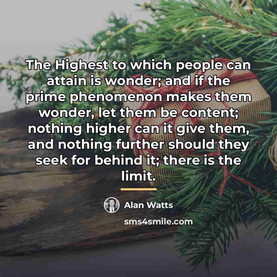 “The Highest to which people can attain is wonder; and…” quote by Alan Watts