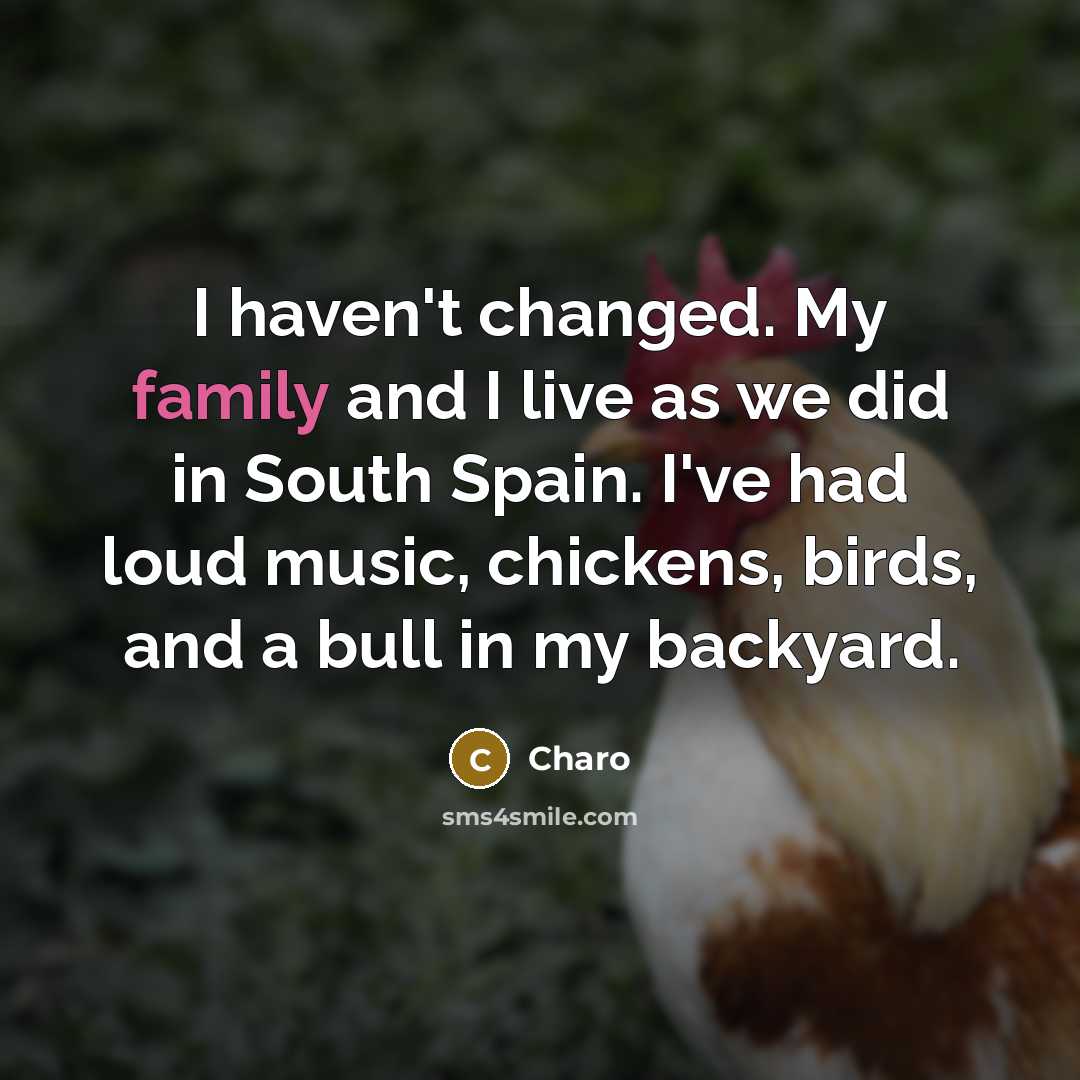“I haven't changed. My family and I live as we did in South Spain. I've had loud music, chickens, birds, and a bull in my backyard.” quote by Charo