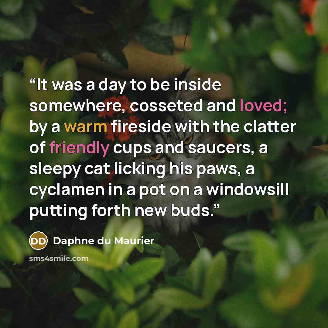 “It was a day to be inside somewhere, cosseted and loved; by a warm fireside with the clatter of friendly cups and saucers, a sleepy cat licking his paws, a cyclamen in a pot on a windowsill putting forth new buds.” quote by Daphne du Maurier