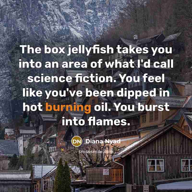 “The box jellyfish takes you into an area of what…” quote by Diana Nyad