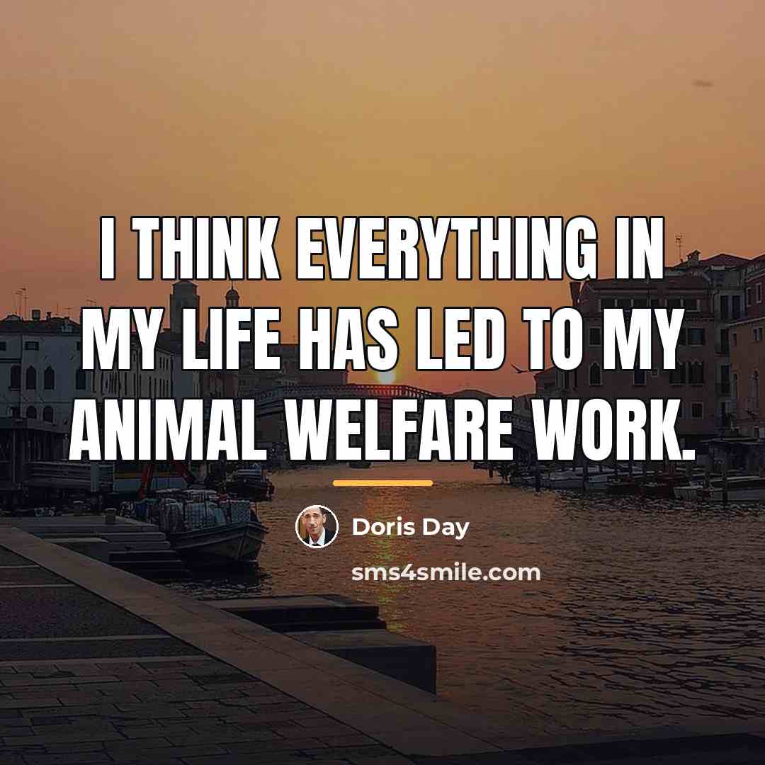 “I think everything in my life has led to my…” quote by Doris Day