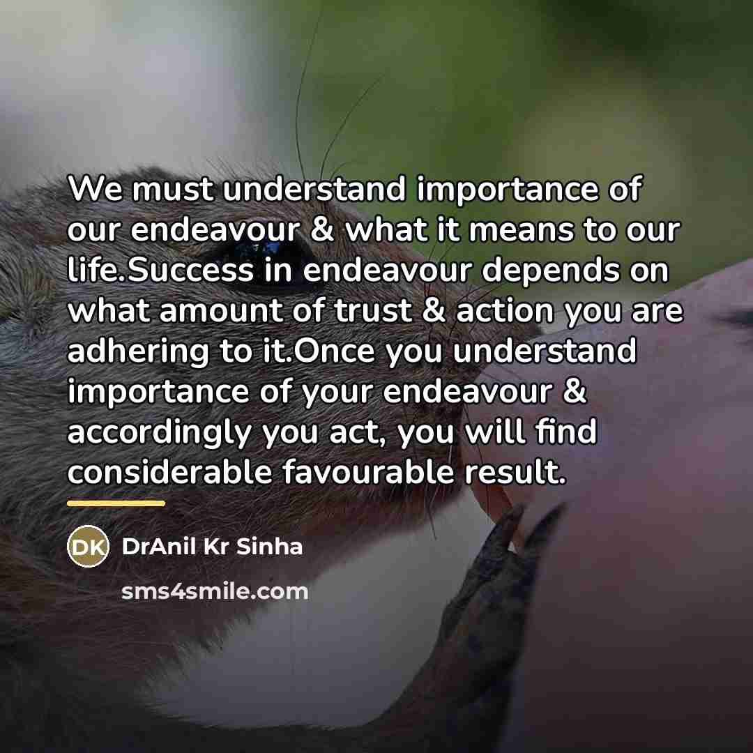 “We must understand importance of our endeavour & what it…” quote by DrAnil Kr Sinha