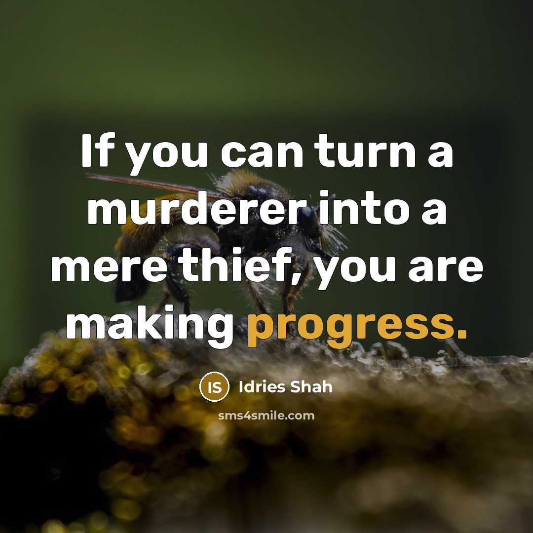 “If you can turn a murderer into a mere thief,…” quote by Idries Shah