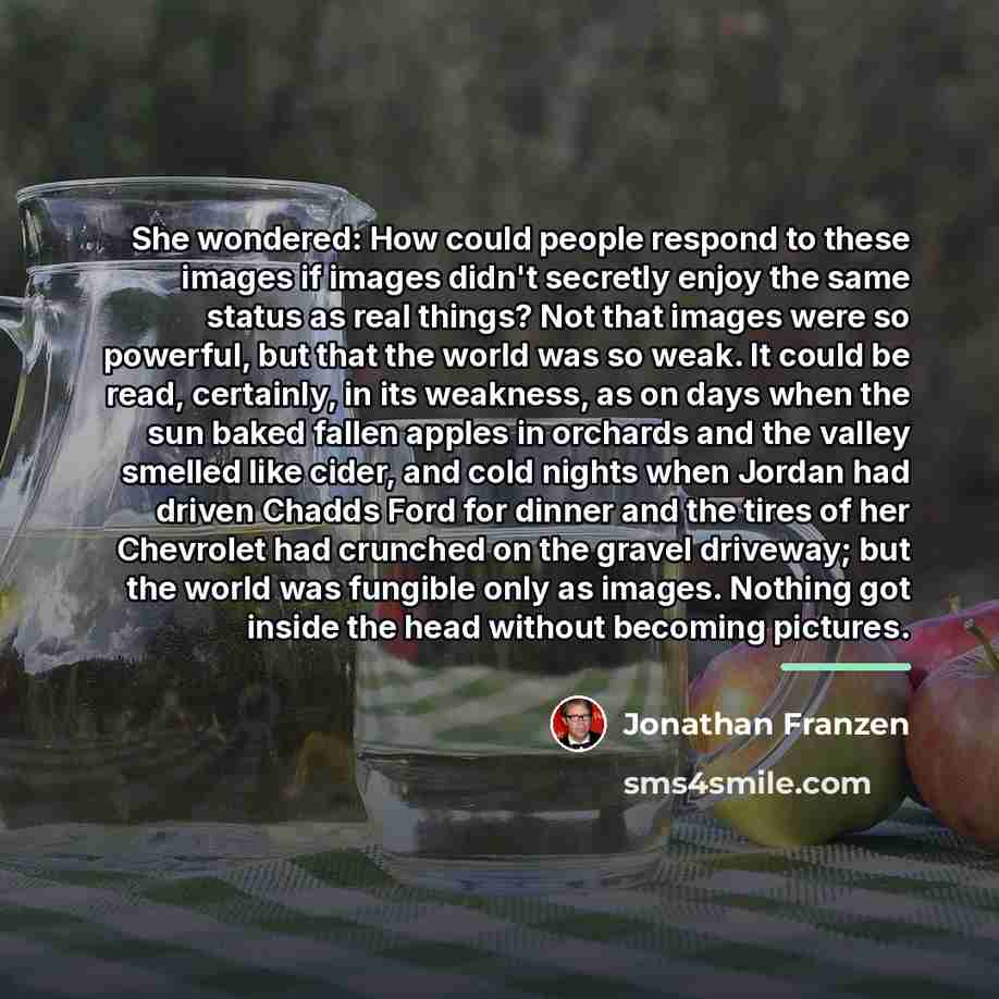 “She wondered: How could people respond to these images if…” quote by Jonathan Franzen