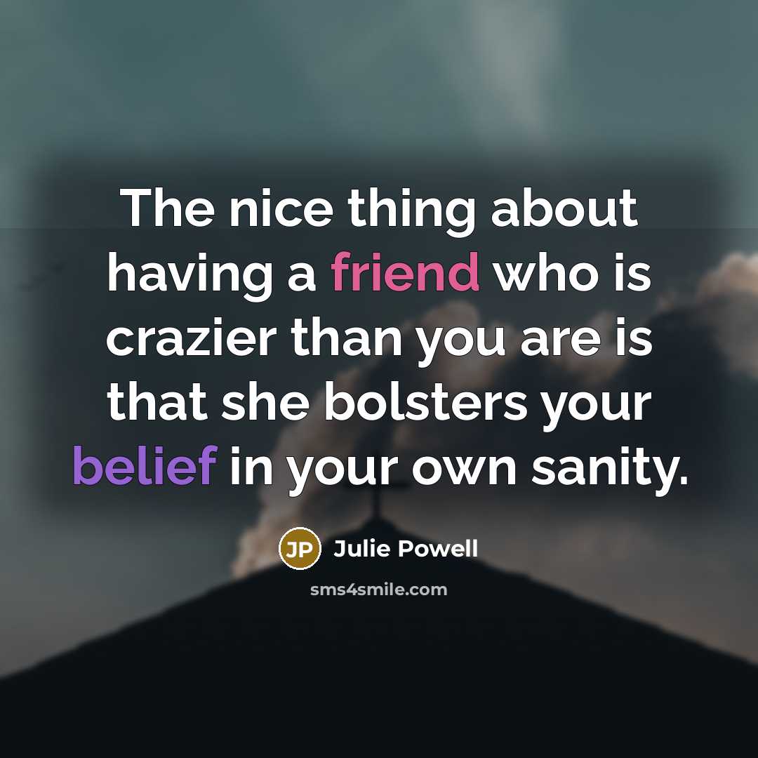 “The nice thing about having a friend who is crazier…” quote by Julie Powell
