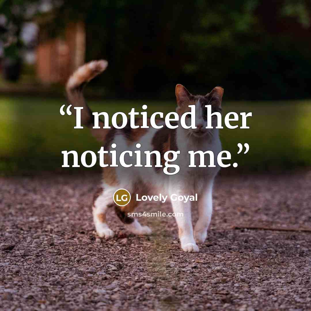 “I noticed her noticing me.” quote by Lovely Goyal