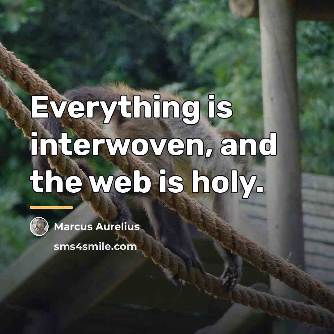 “Everything is interwoven, and the web is holy.…” quote by Marcus Aurelius