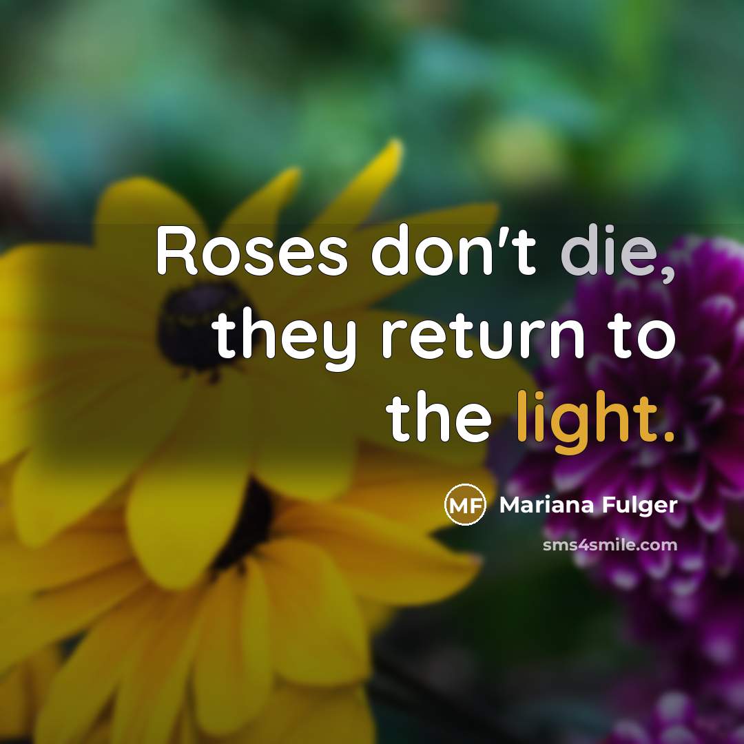 “Roses don't die, they return to the light.” quote by Mariana Fulger