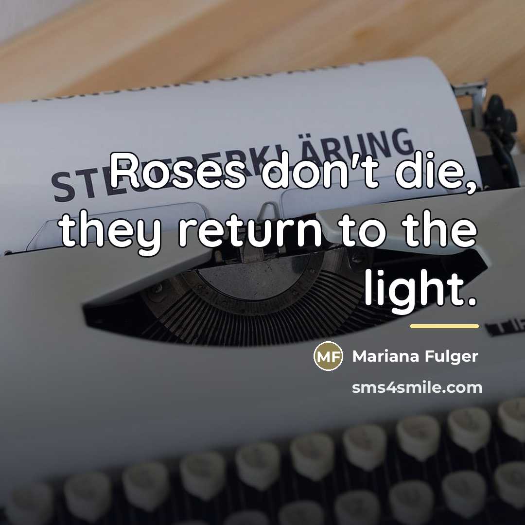“Roses don't die, they return to the light.…” quote by Mariana Fulger