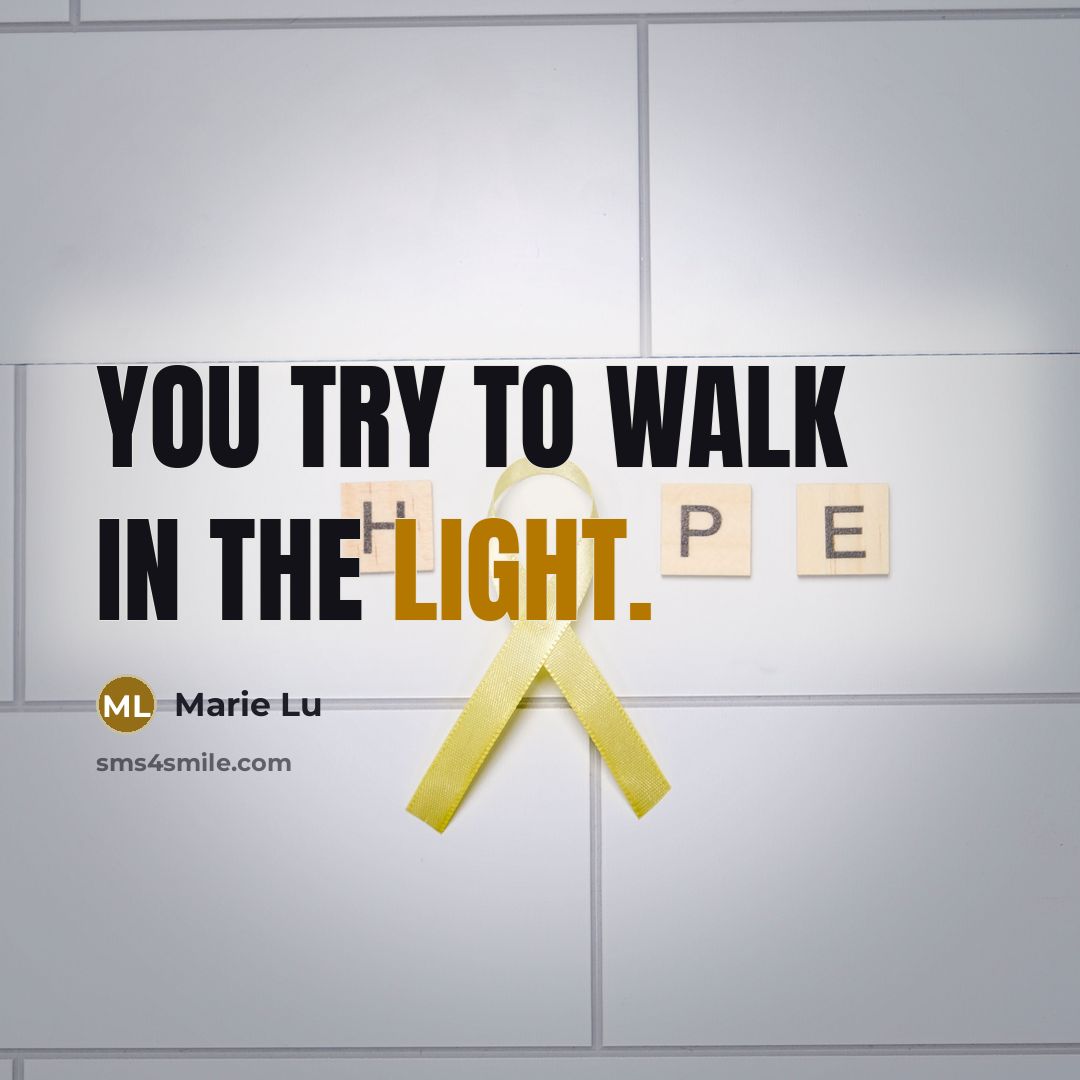 “You try to walk in the light.…” quote by Marie Lu