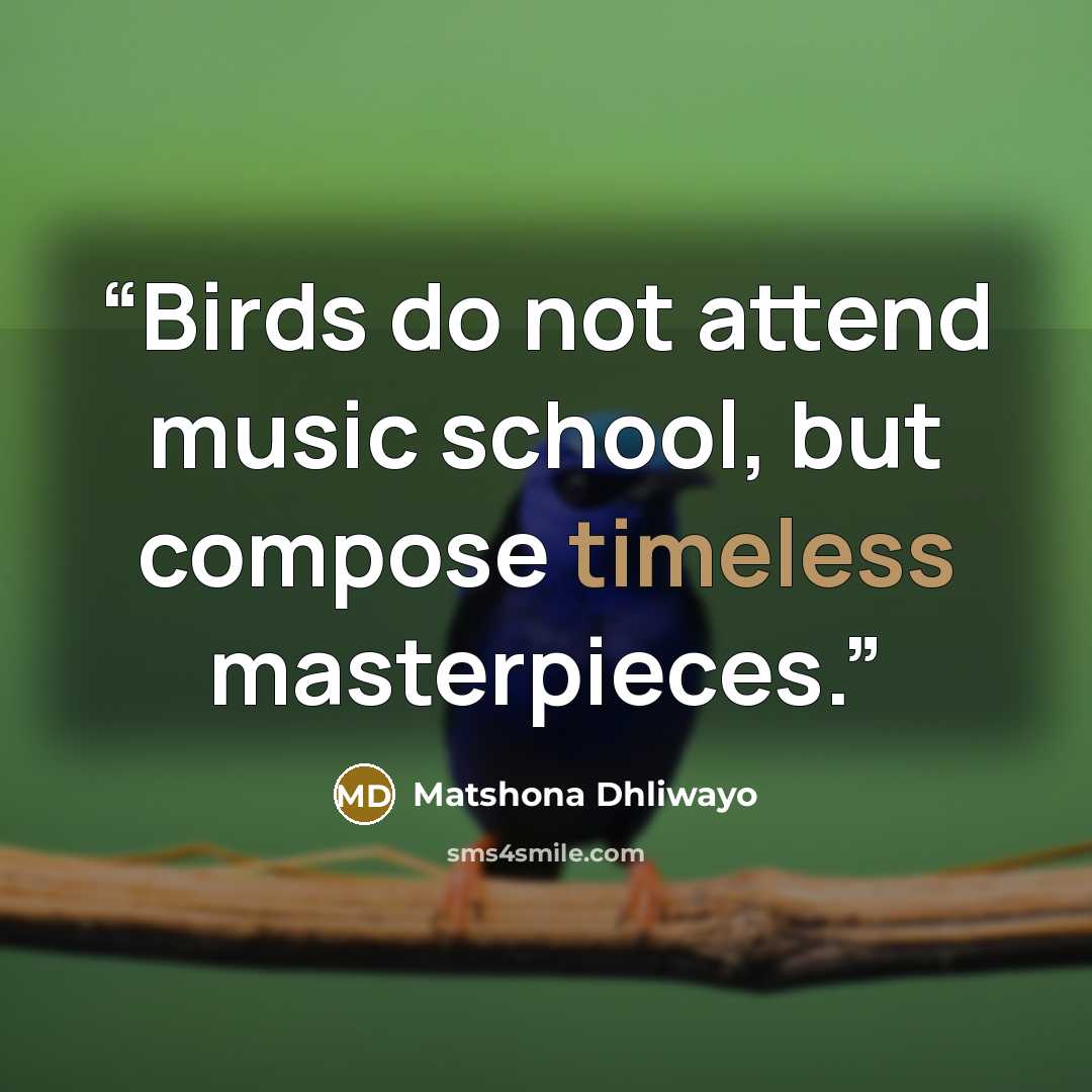 “Birds do not attend music school, but compose timeless masterpieces.” quote by Matshona Dhliwayo