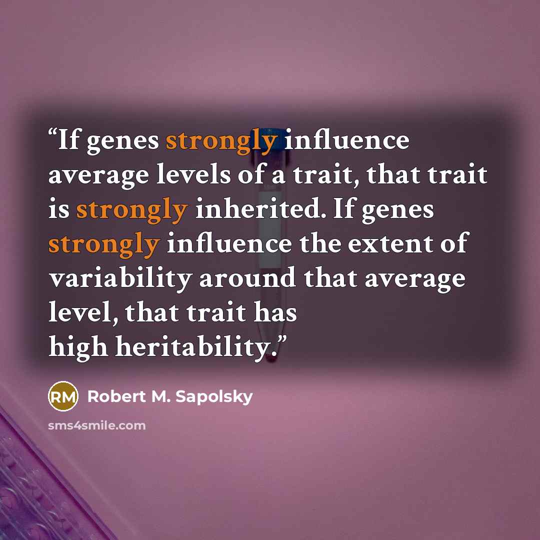 “If genes strongly influence average levels of a trait, that trait is strongly inherited. If genes strongly influence the extent of variability around that average level, that trait has high heritability.” quote by Robert M. Sapolsky