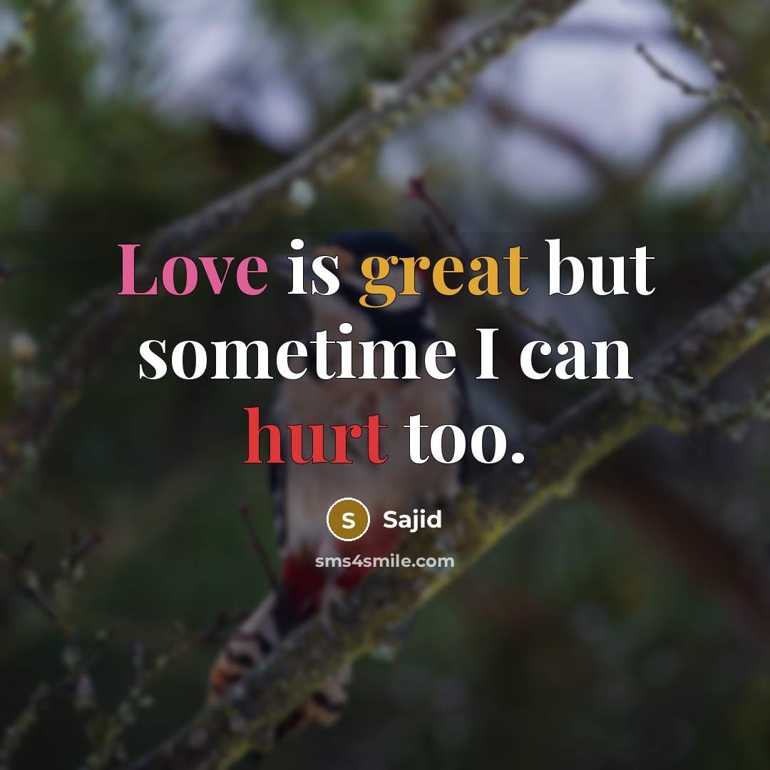 “Love is great but sometime I can hurt too.” quote by Sajid