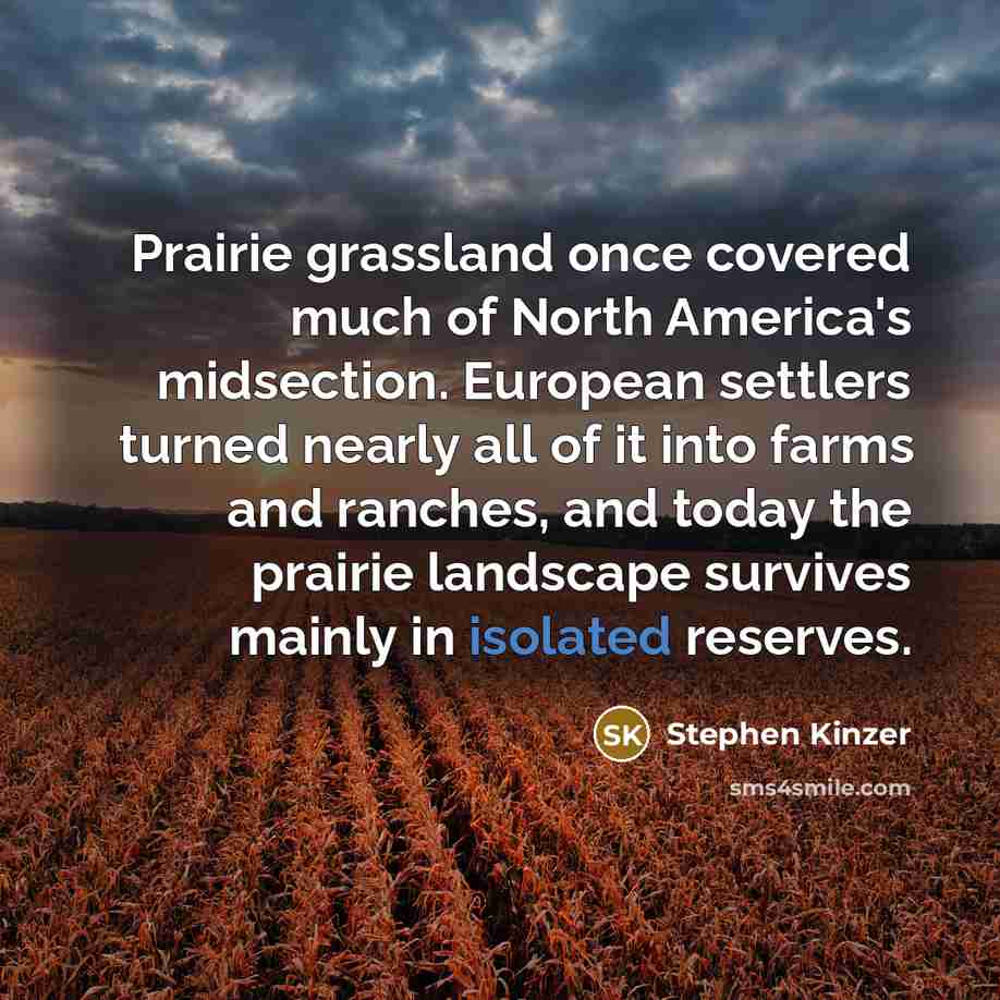 “Prairie grassland once covered much of North America's midsection. European…” quote by Stephen Kinzer