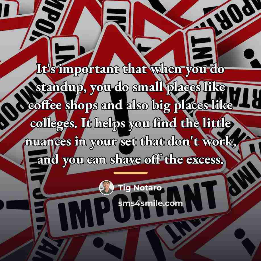 “It's important that when you do standup, you do small…” quote by Tig Notaro