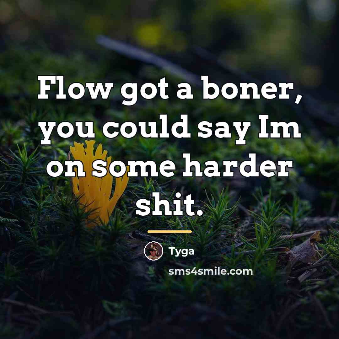 “Flow got a boner, you could say Im on some…” quote by Tyga