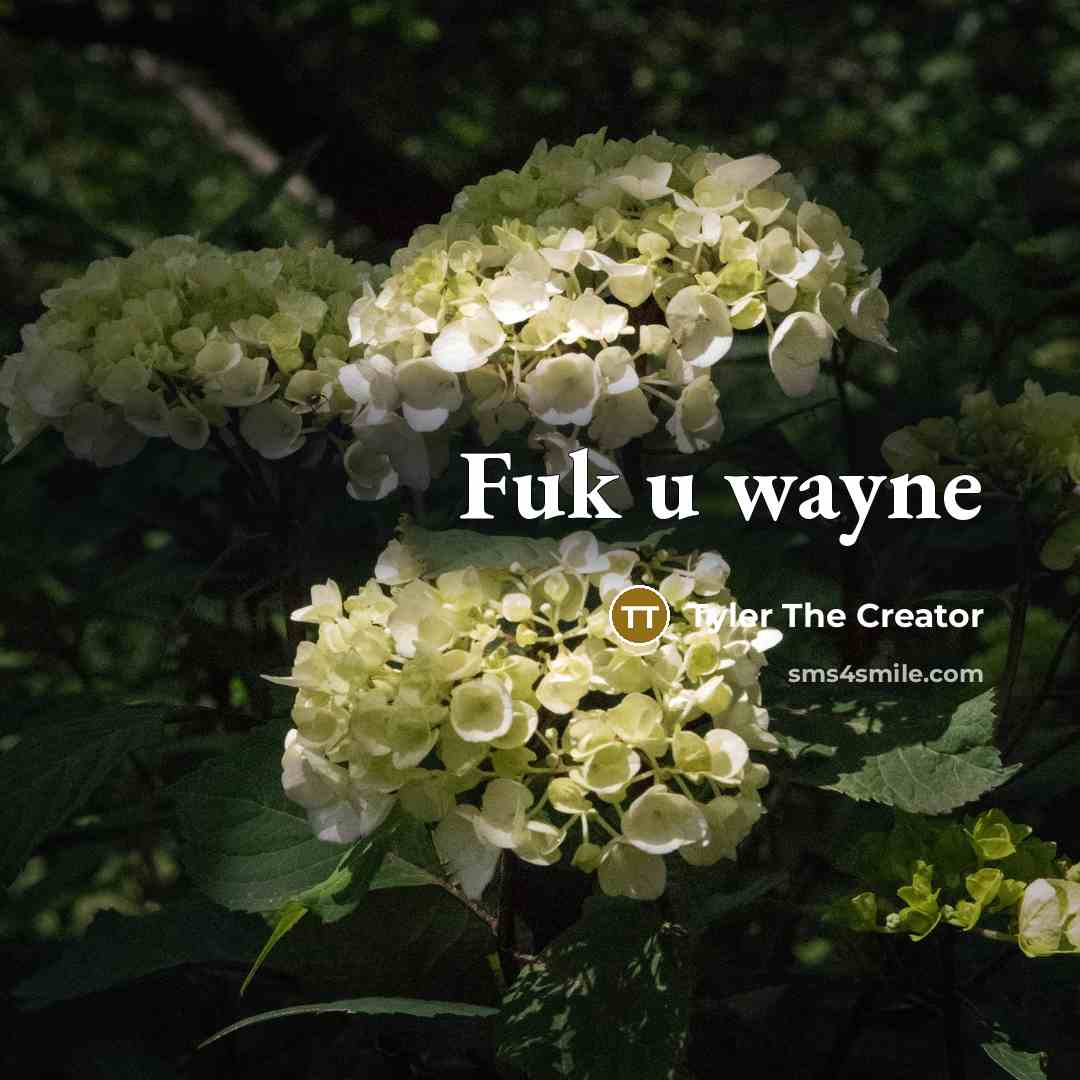 “Fuk u wayne…” quote by Tyler The Creator