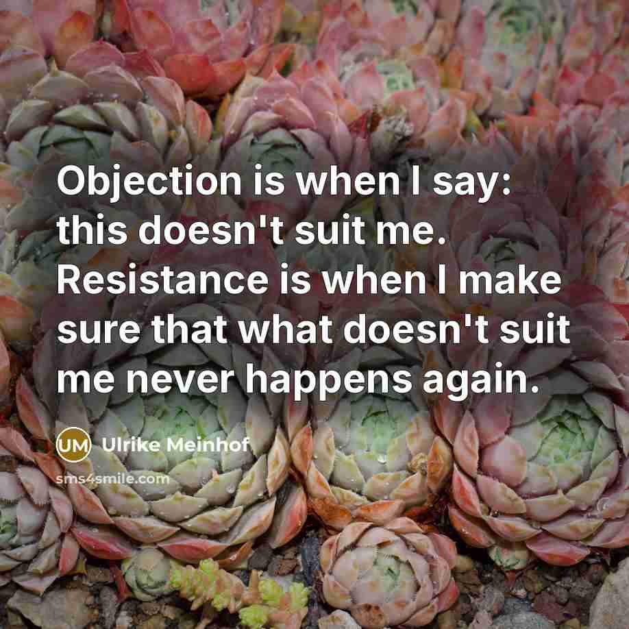 “Objection is when I say: this doesn't suit me. Resistance…” quote by Ulrike Meinhof