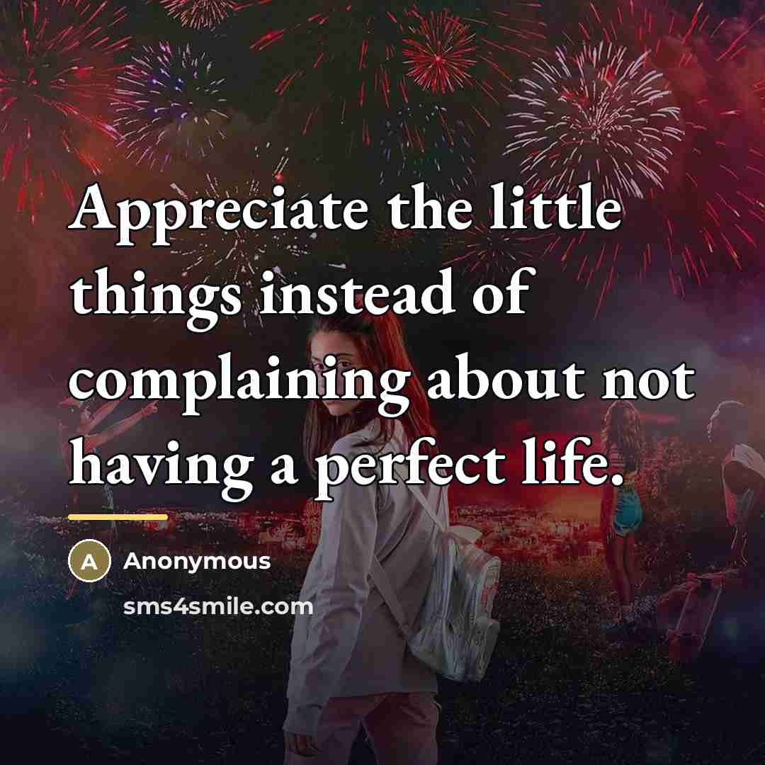 “Appreciate the little things instead of complaining about not having…” quote by Anonymous