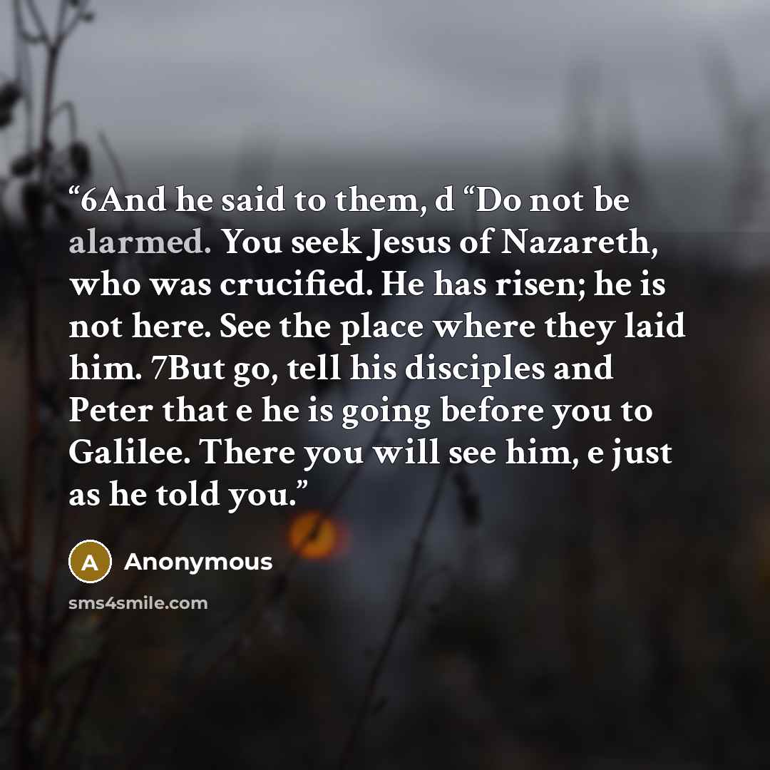 “6And he said to them, d “Do not be alarmed. You seek Jesus of Nazareth, who was crucified. He has risen; he is not here. See the place where they laid him. 7But go, tell his disciples and Peter that e he is going before you to Galilee. There you will see him, e just as he told you.” quote by Anonymous