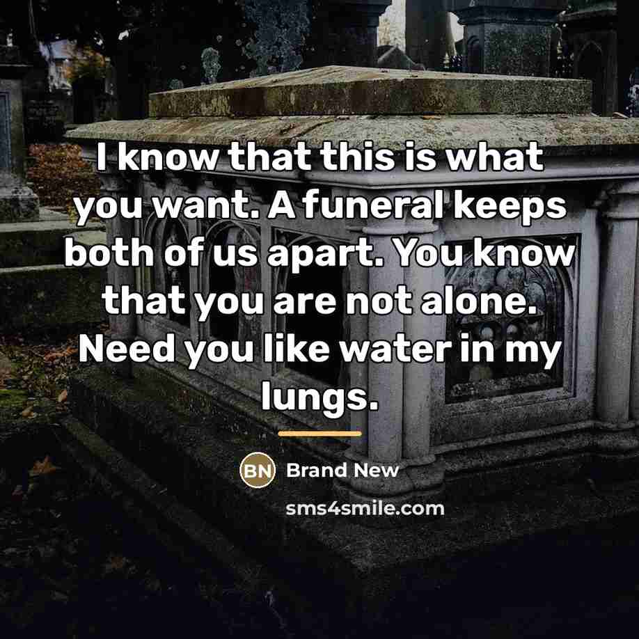 “I know that this is what you want. A funeral…” quote by Brand New