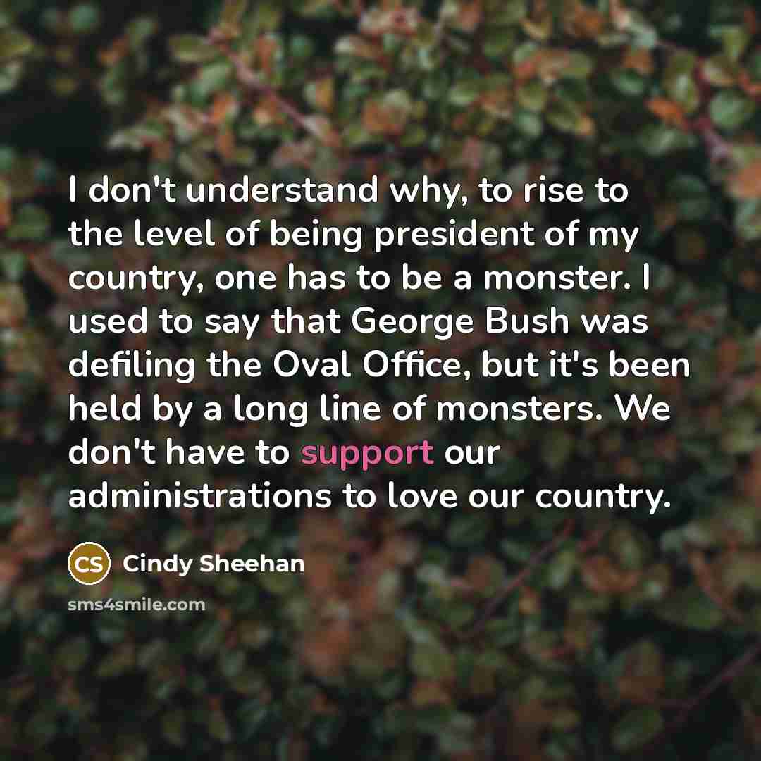 “I don't understand why, to rise to the level of…” quote by Cindy Sheehan