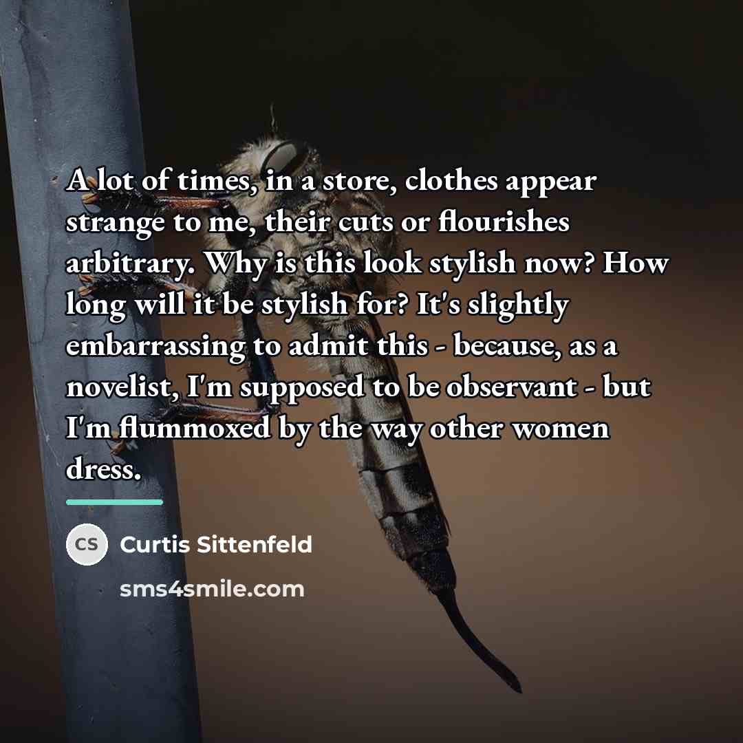 “A lot of times, in a store, clothes appear strange…” quote by Curtis Sittenfeld
